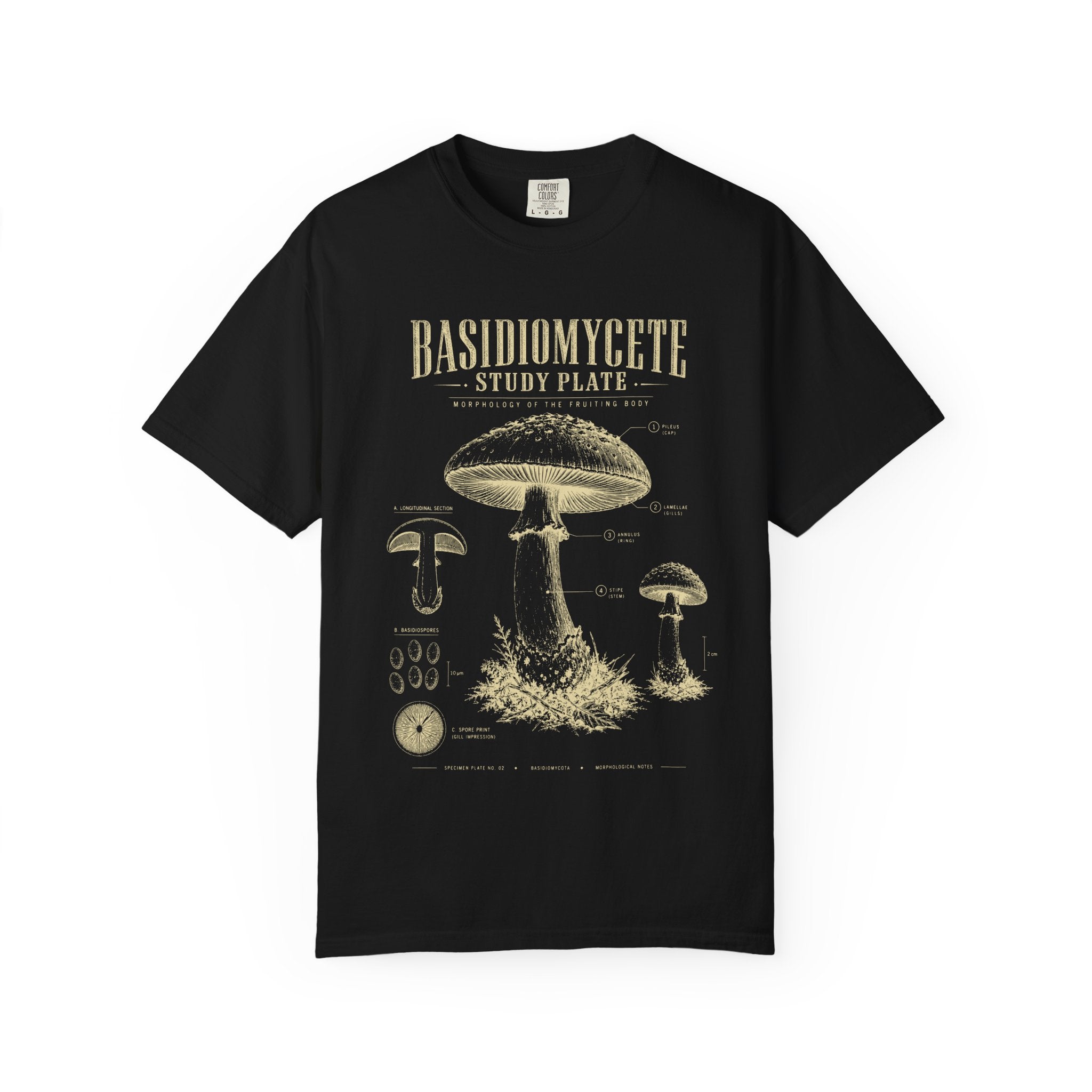 Basidiomycete Study Plate T‑Shirt