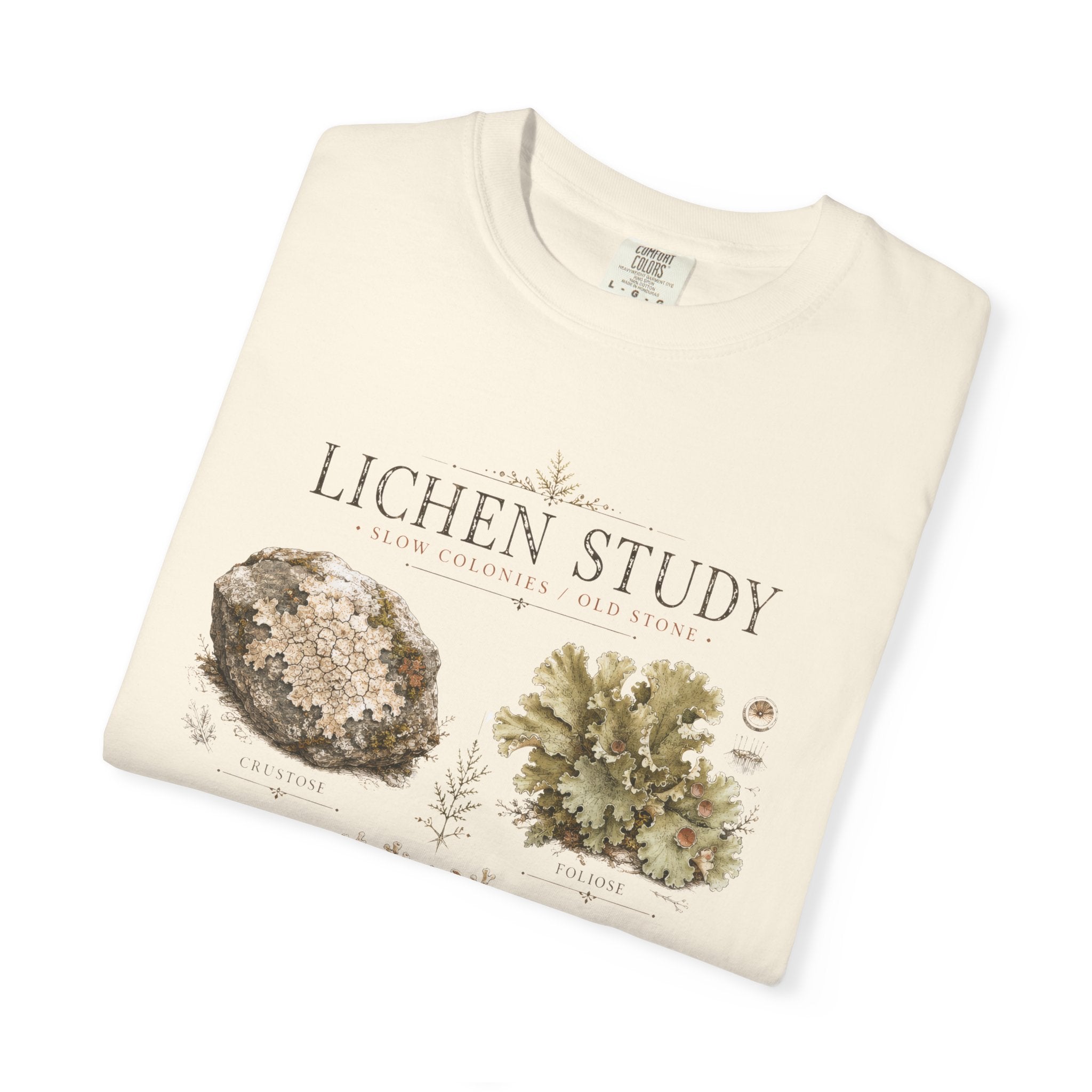 Lichen Study T-Shirt