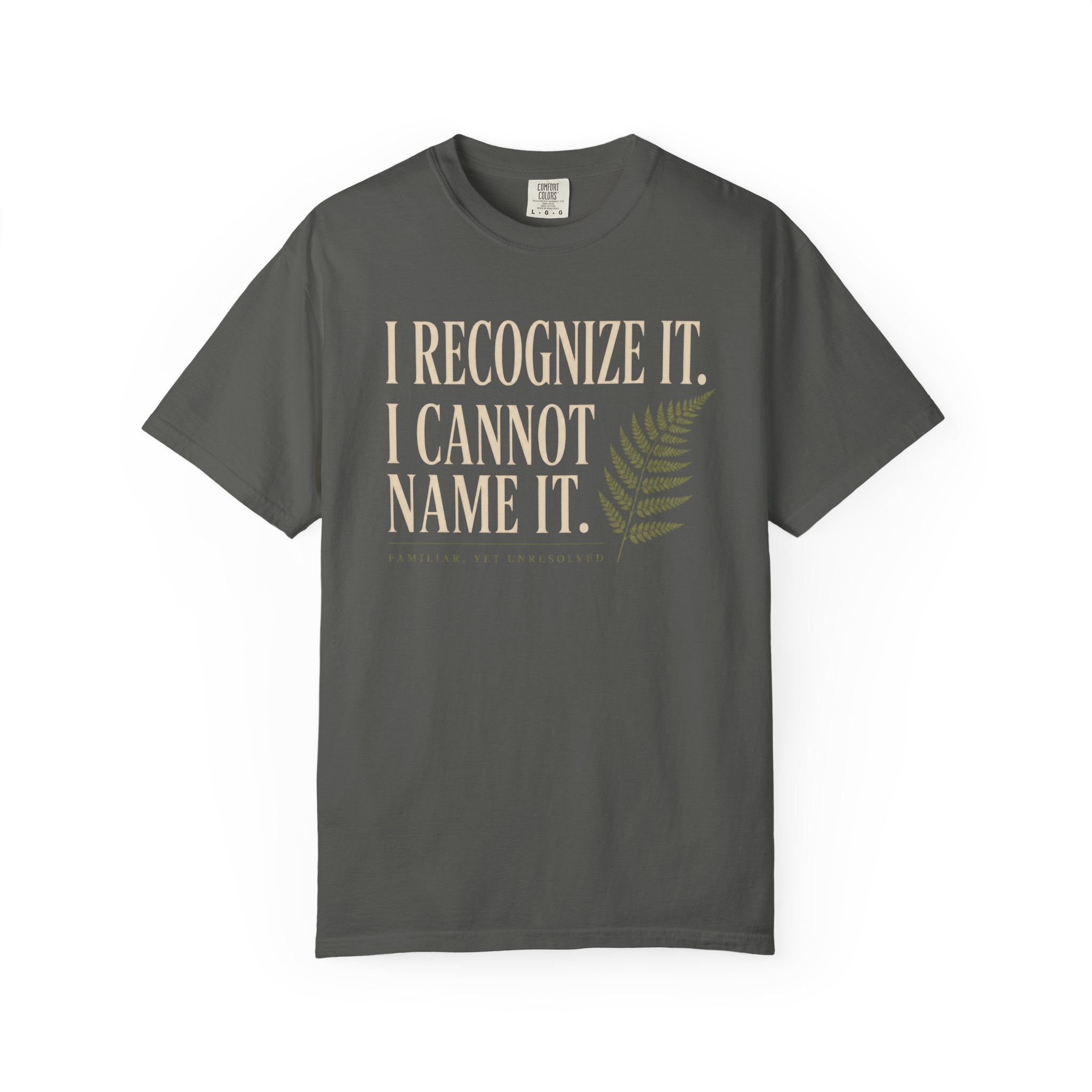 I Recognize It. I Cannot Name It T‑Shirt