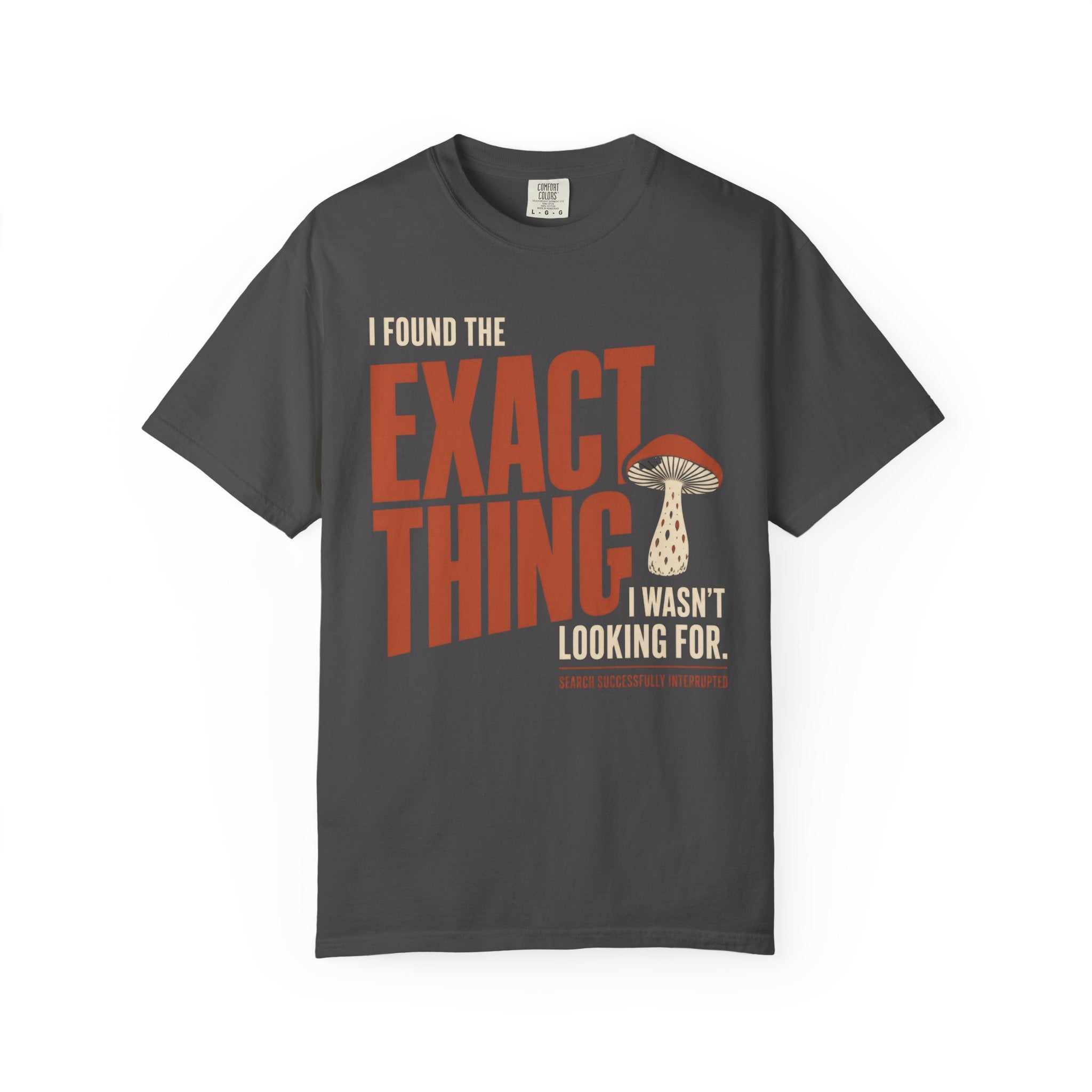 I Found The Exact Thing I Wasn't Looking For T‑Shirt