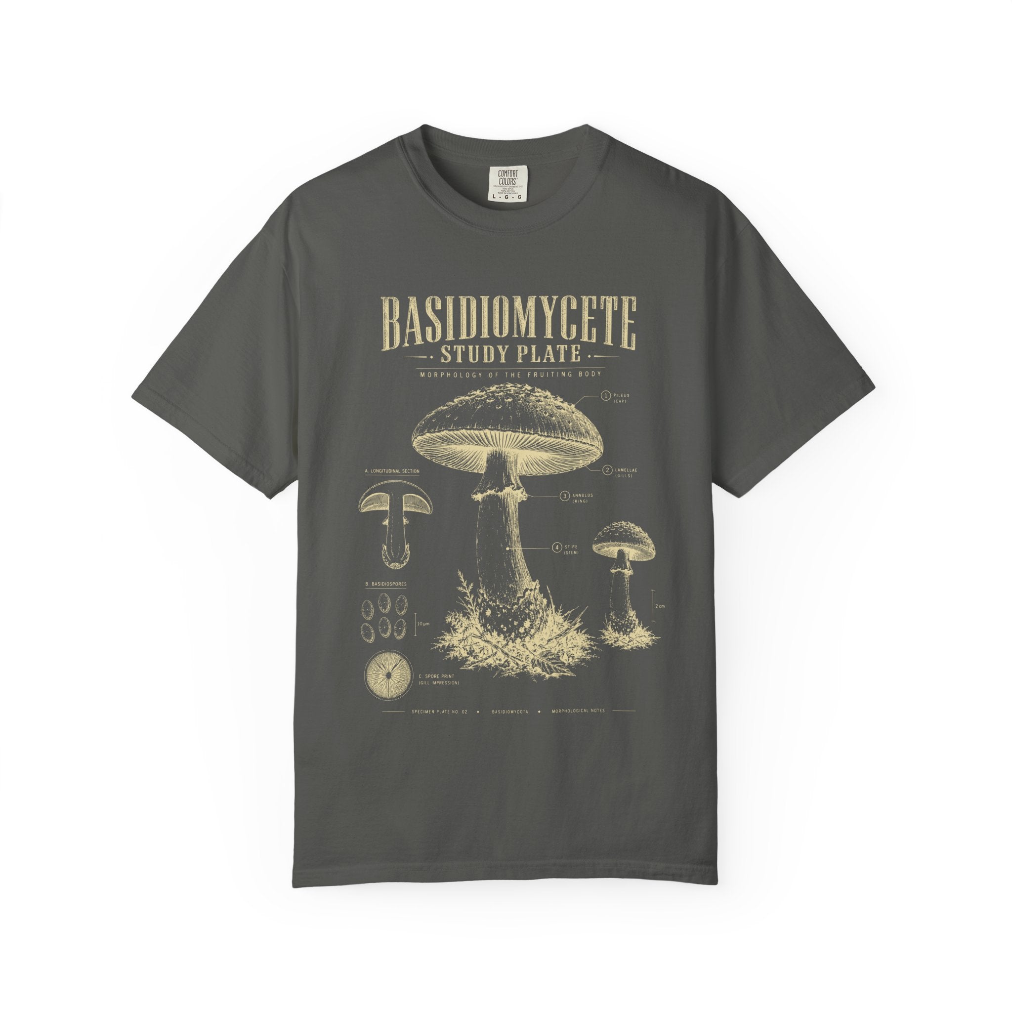 Basidiomycete Study Plate T‑Shirt