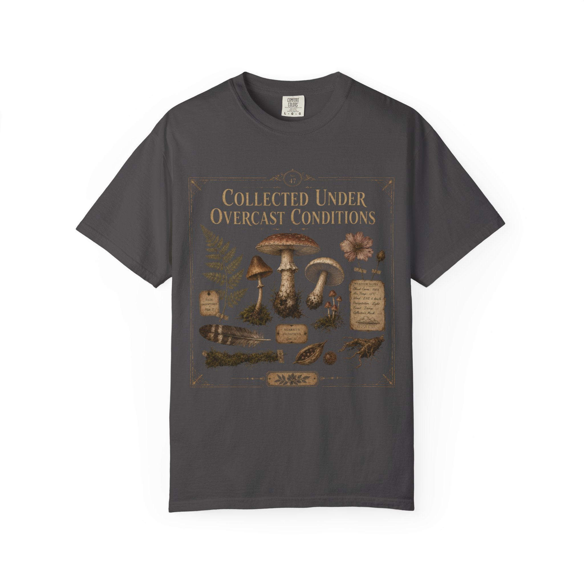Collected Under Overcast Conditions T‑Shirt