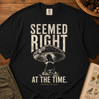 Seemed Right T‑Shirt