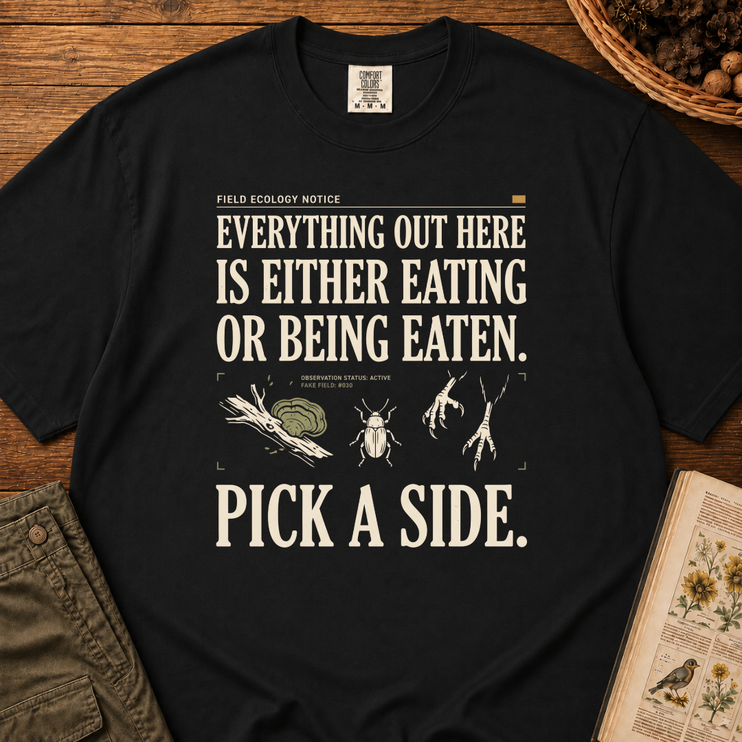 Pick A Side T‑Shirt