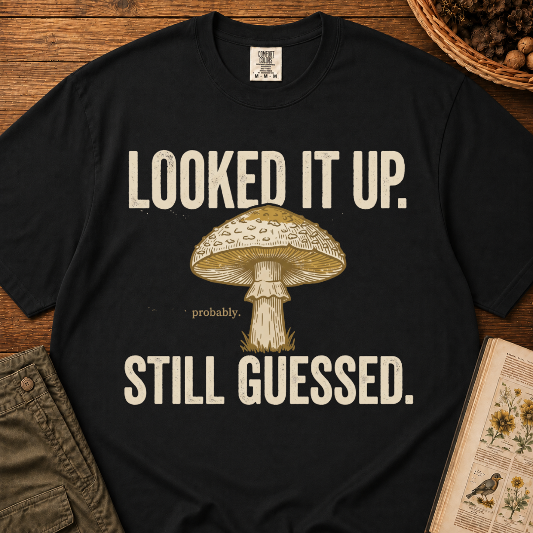 Looked It Up T‑Shirt