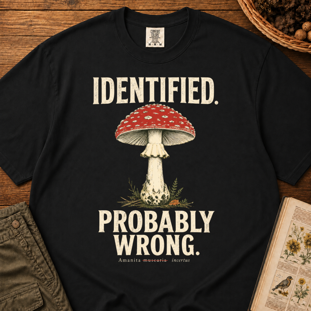 Identified Probably Wrong T‑Shirt