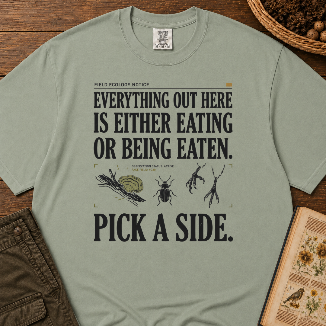 Pick A Side T‑Shirt