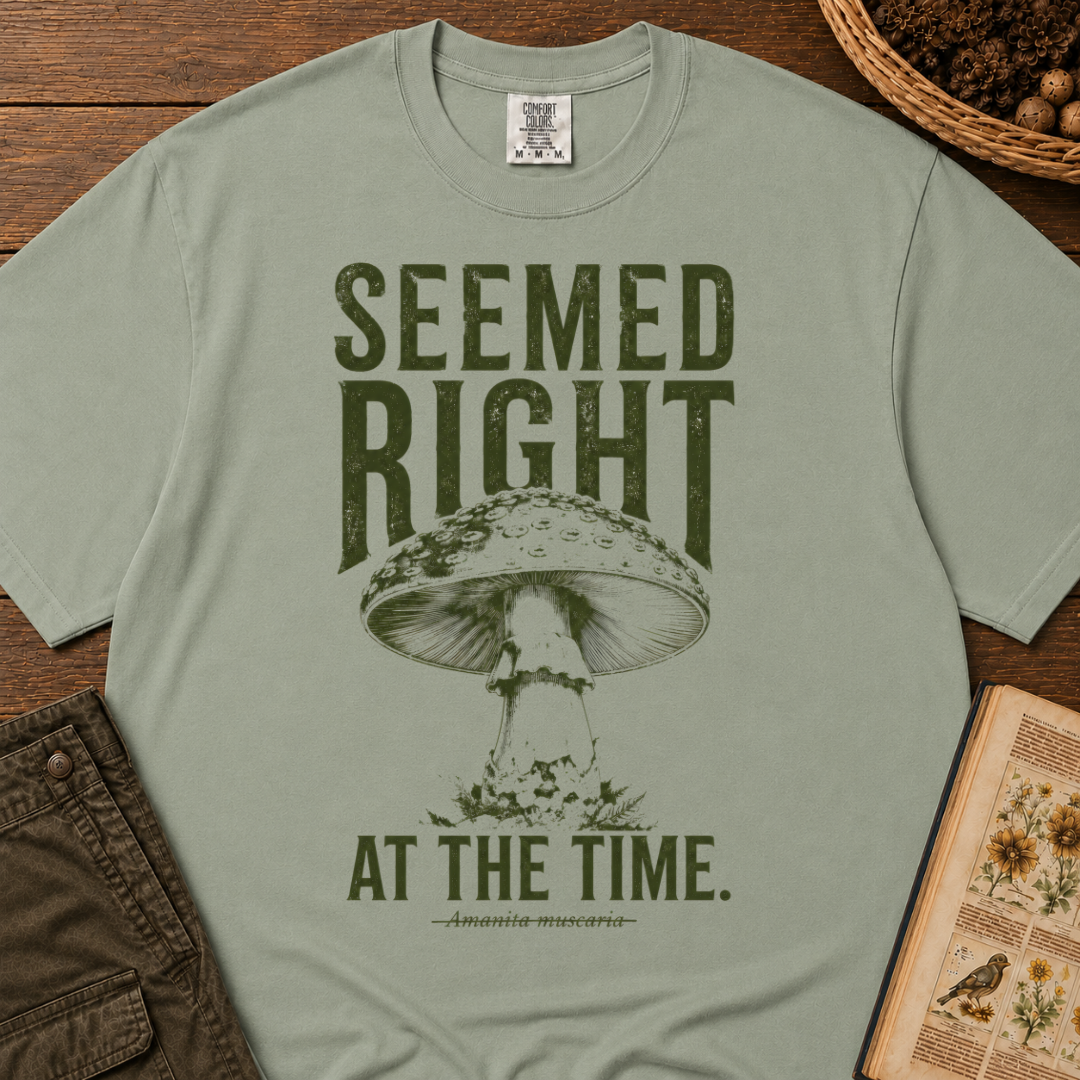 Seemed Right T‑Shirt