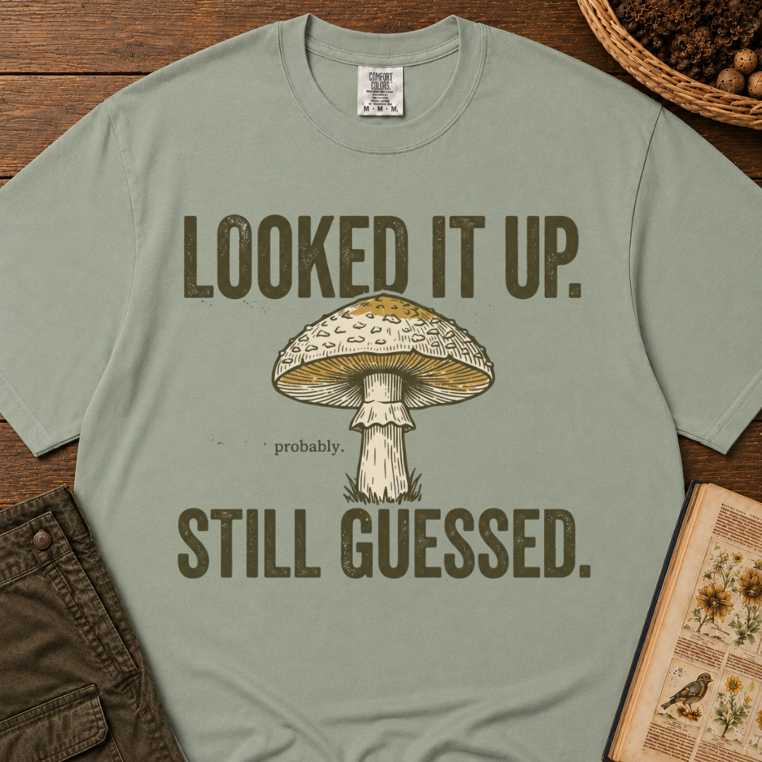 Looked It Up T‑Shirt