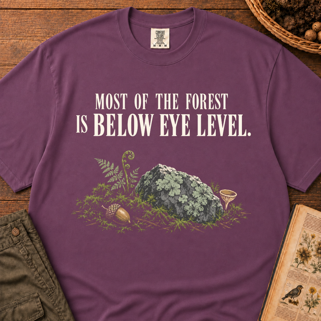 Below Eye Level T‑Shirt