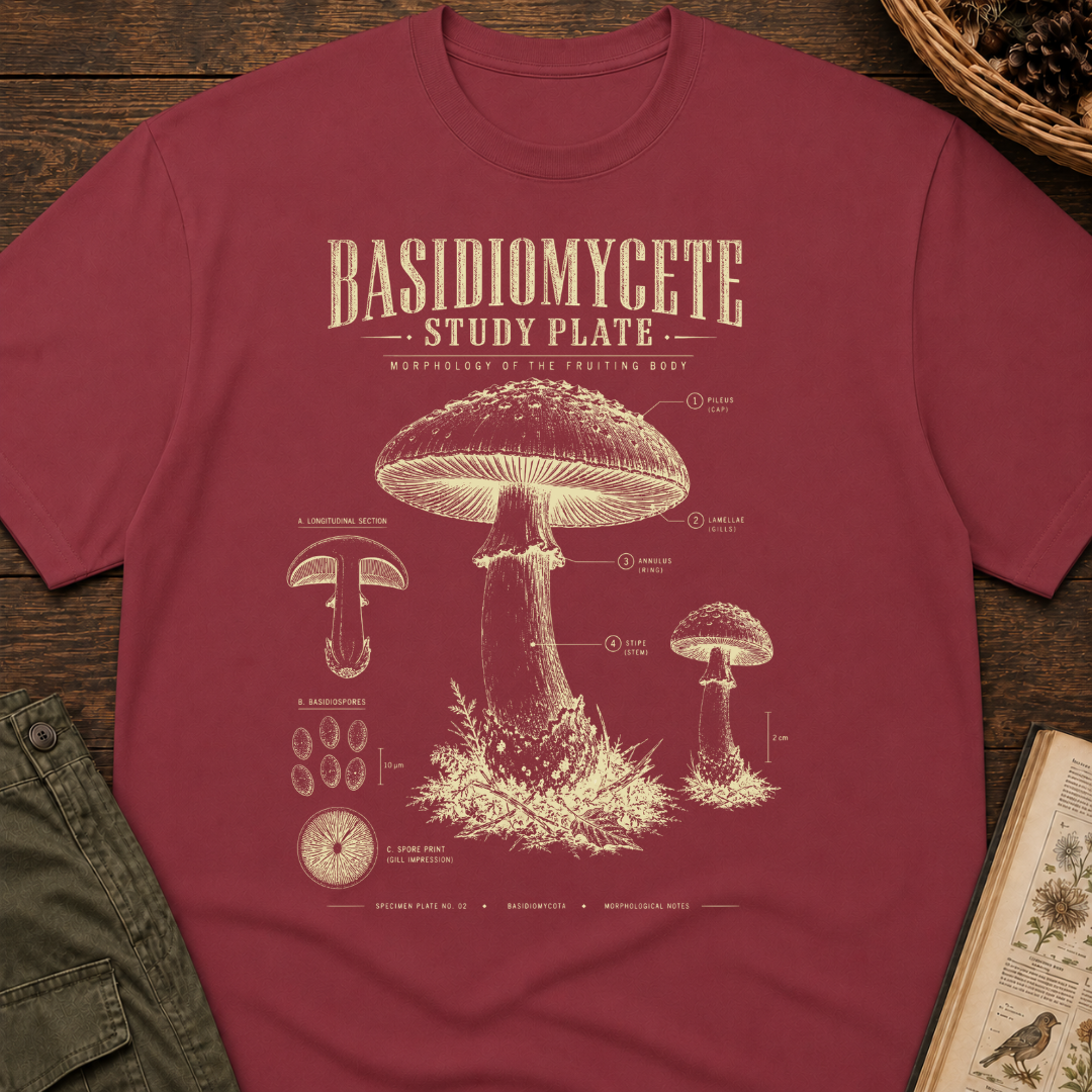 Basidiomycete Study Plate T‑Shirt