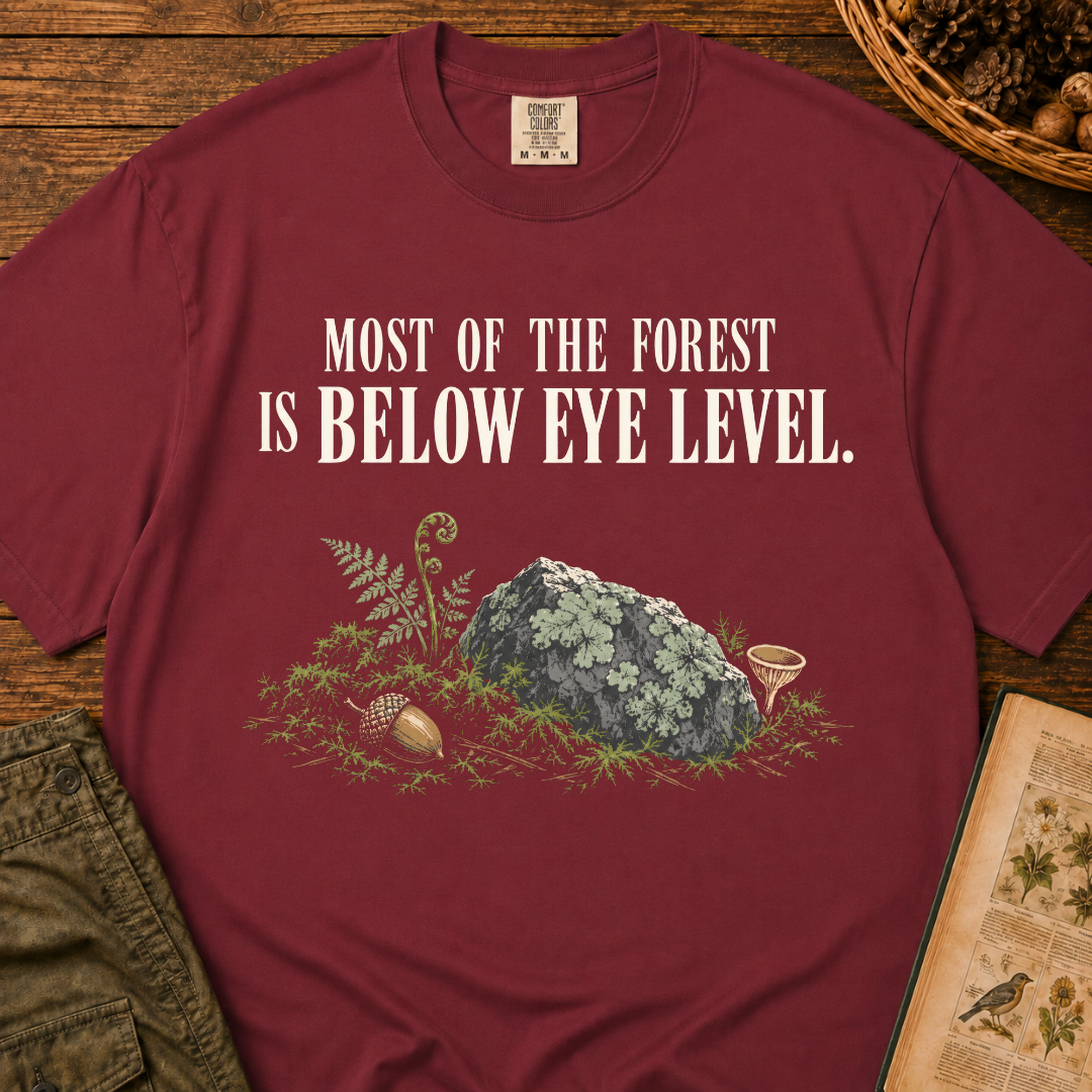 Below Eye Level T‑Shirt