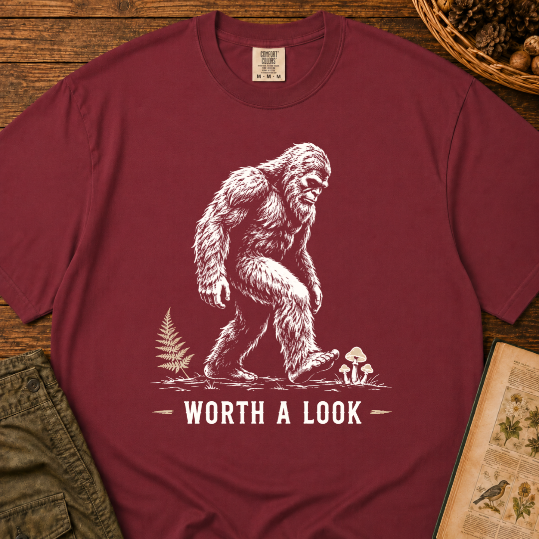 Worth A Look T‑Shirt