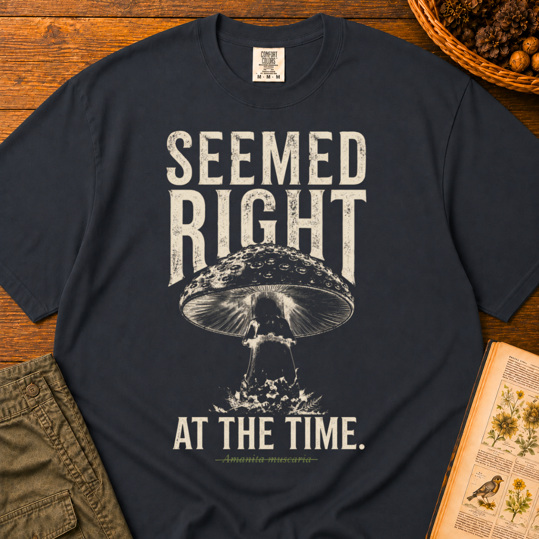 Seemed Right T‑Shirt