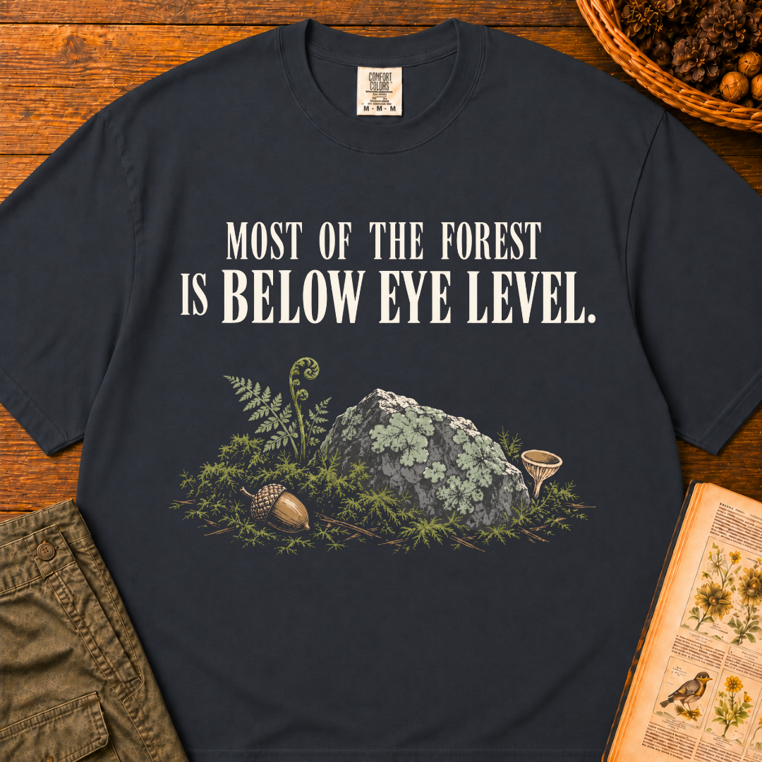 Below Eye Level T‑Shirt