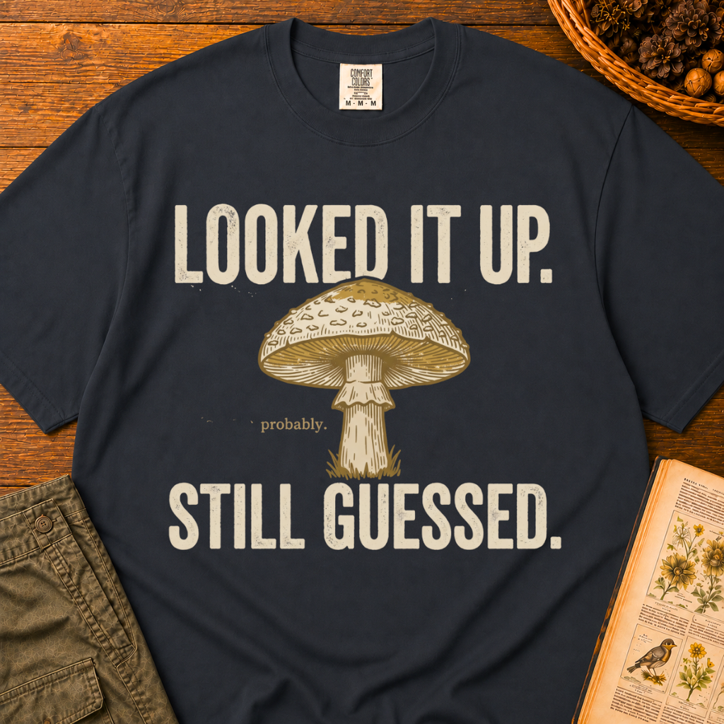 Looked It Up T‑Shirt