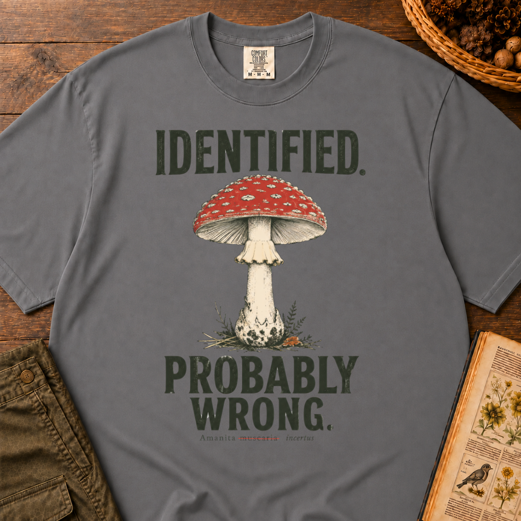Identified Probably Wrong T‑Shirt