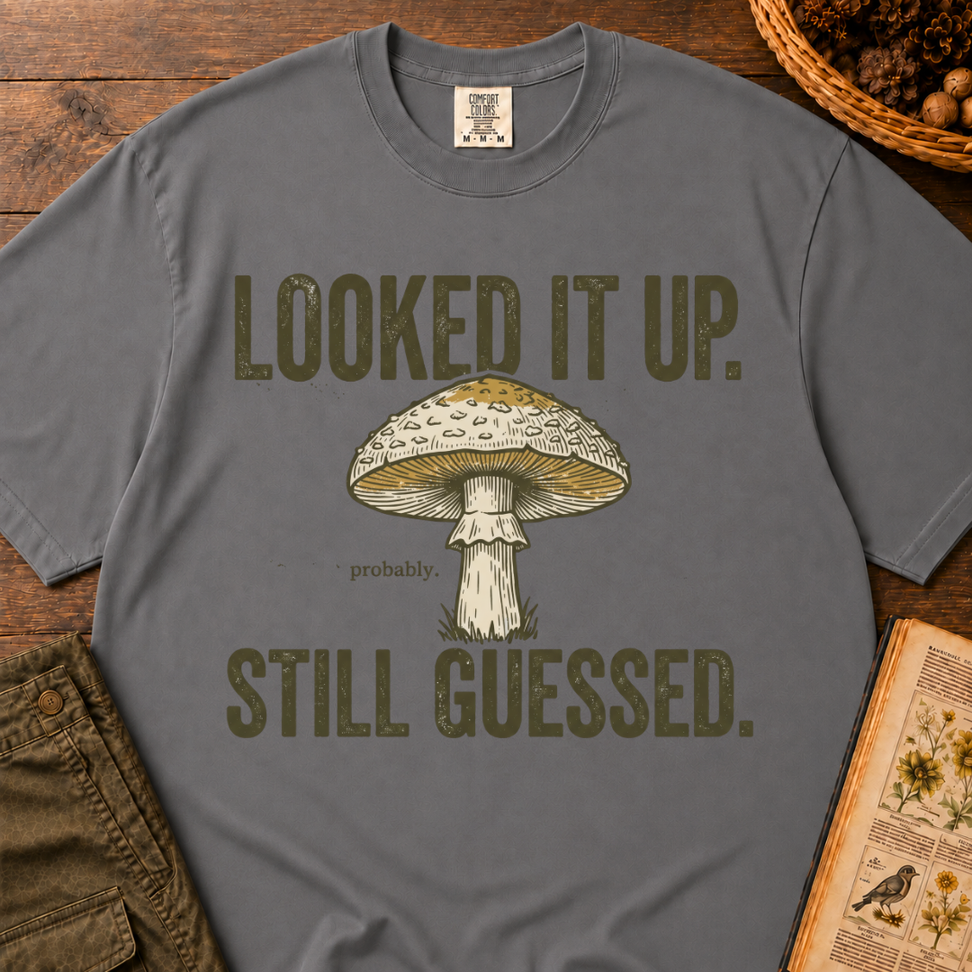 Looked It Up T‑Shirt