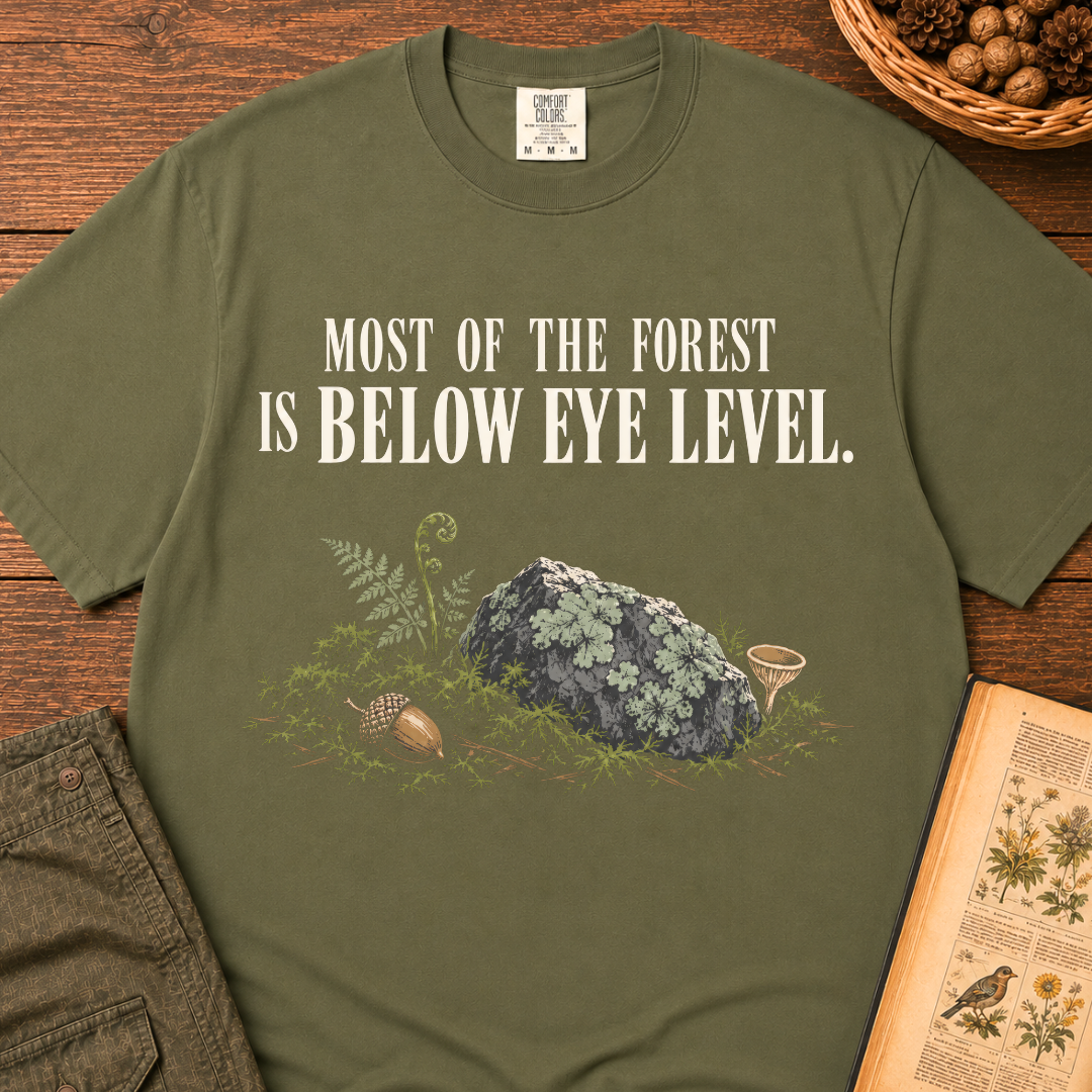 Below Eye Level T‑Shirt