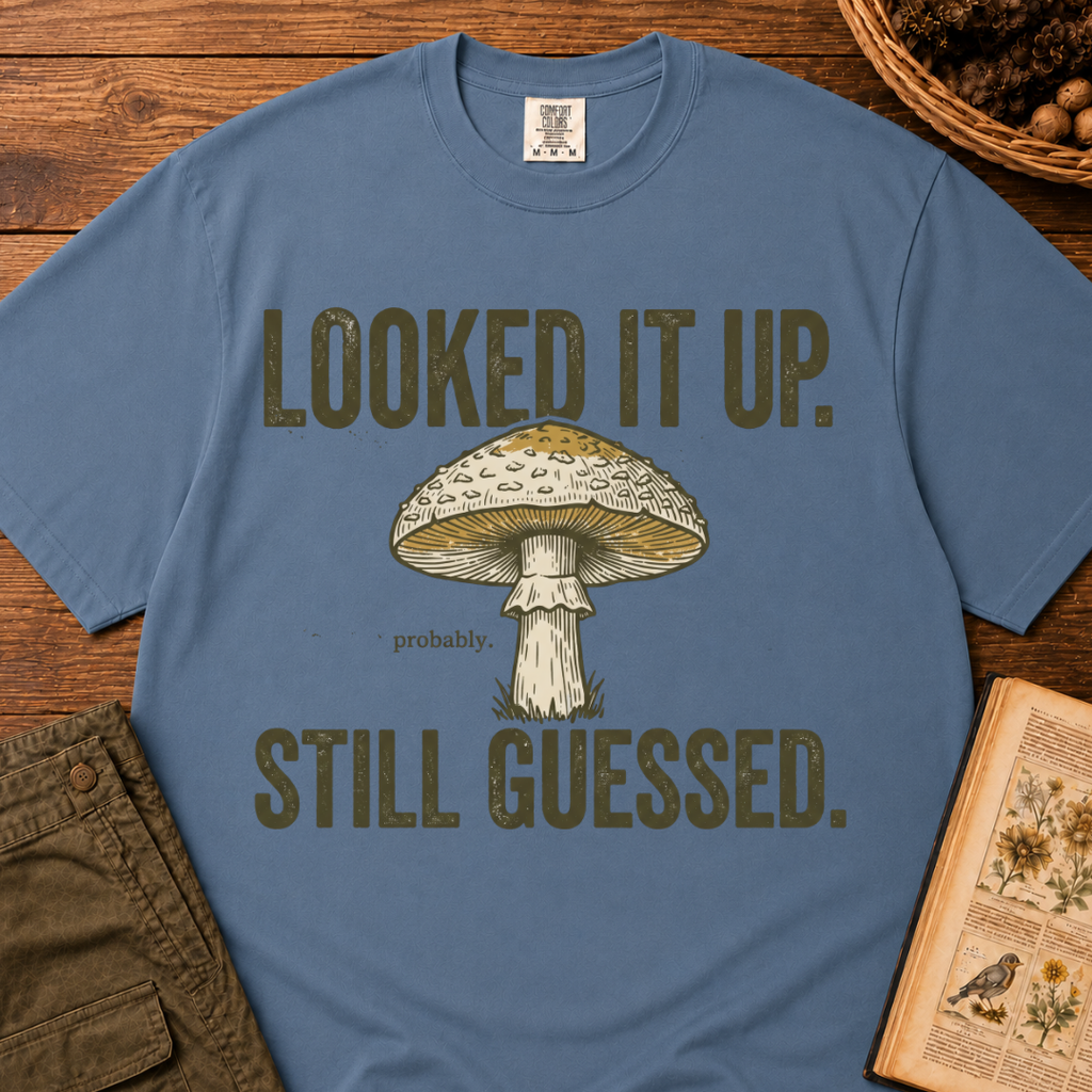Looked It Up T‑Shirt