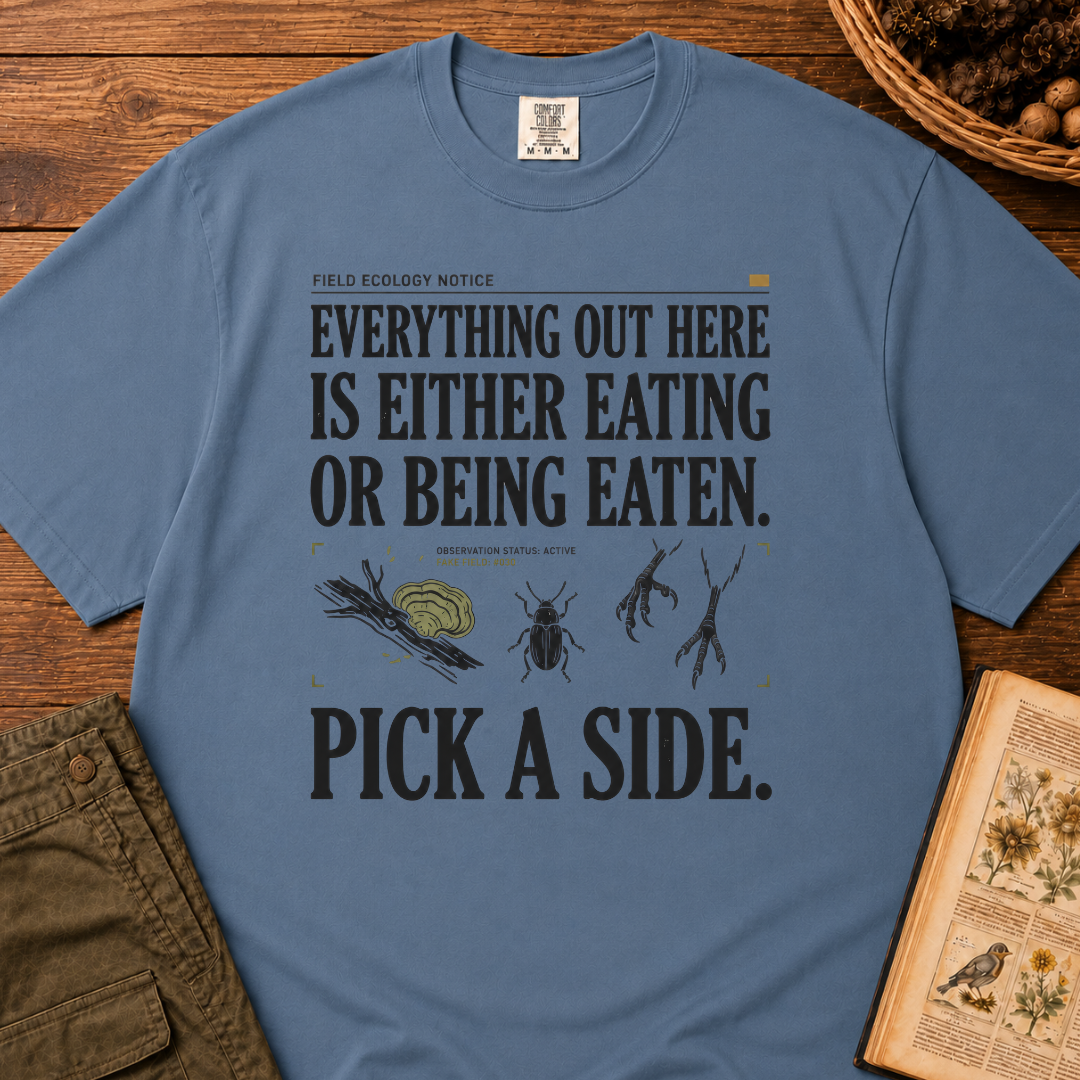 Pick A Side T‑Shirt