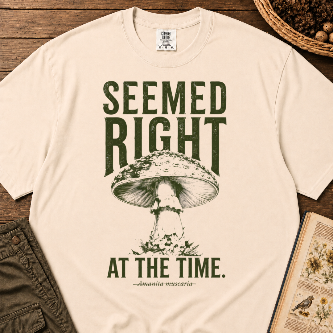 Seemed Right T‑Shirt