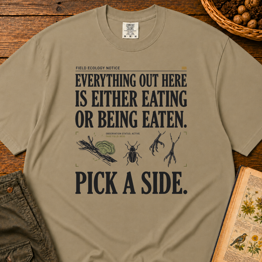 Pick A Side T‑Shirt