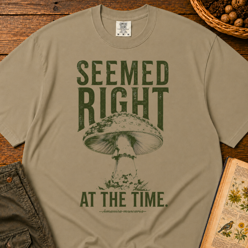 Seemed Right T‑Shirt