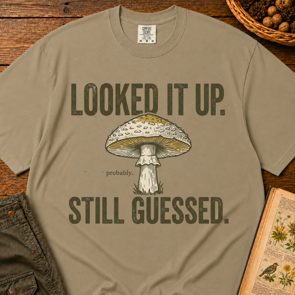 Looked It Up T‑Shirt