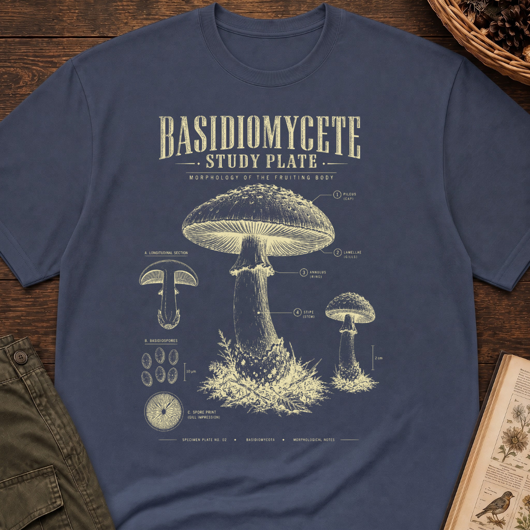 Basidiomycete Study Plate T‑Shirt