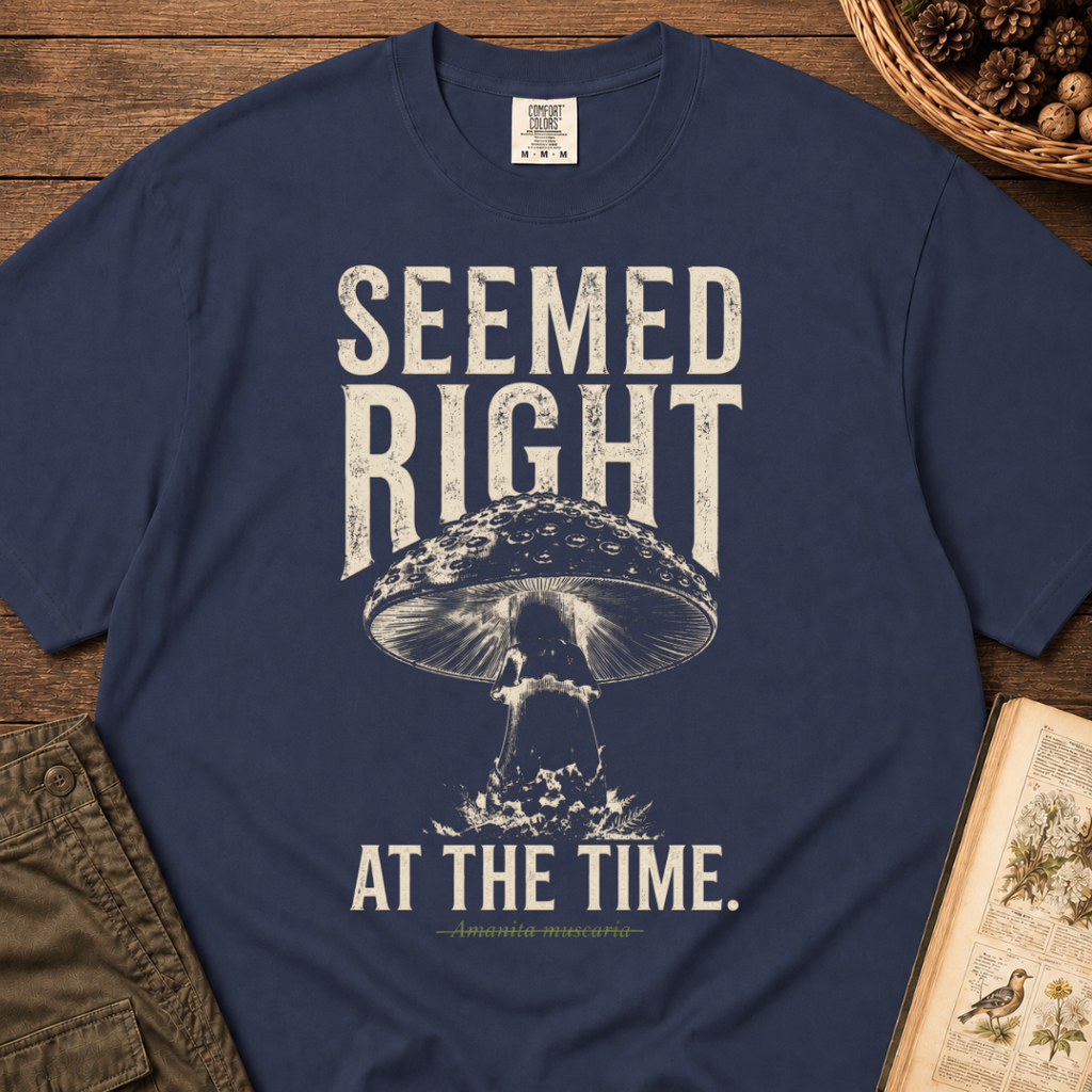 Seemed Right T‑Shirt