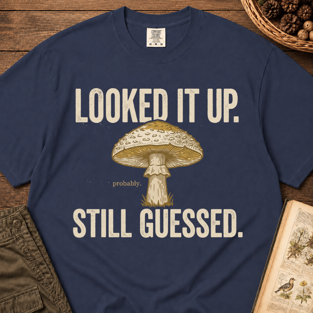 Looked It Up T‑Shirt