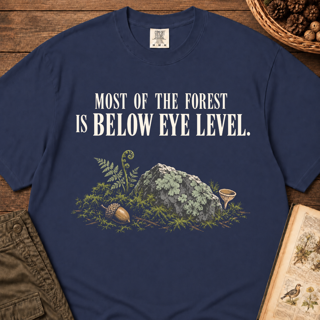 Below Eye Level T‑Shirt