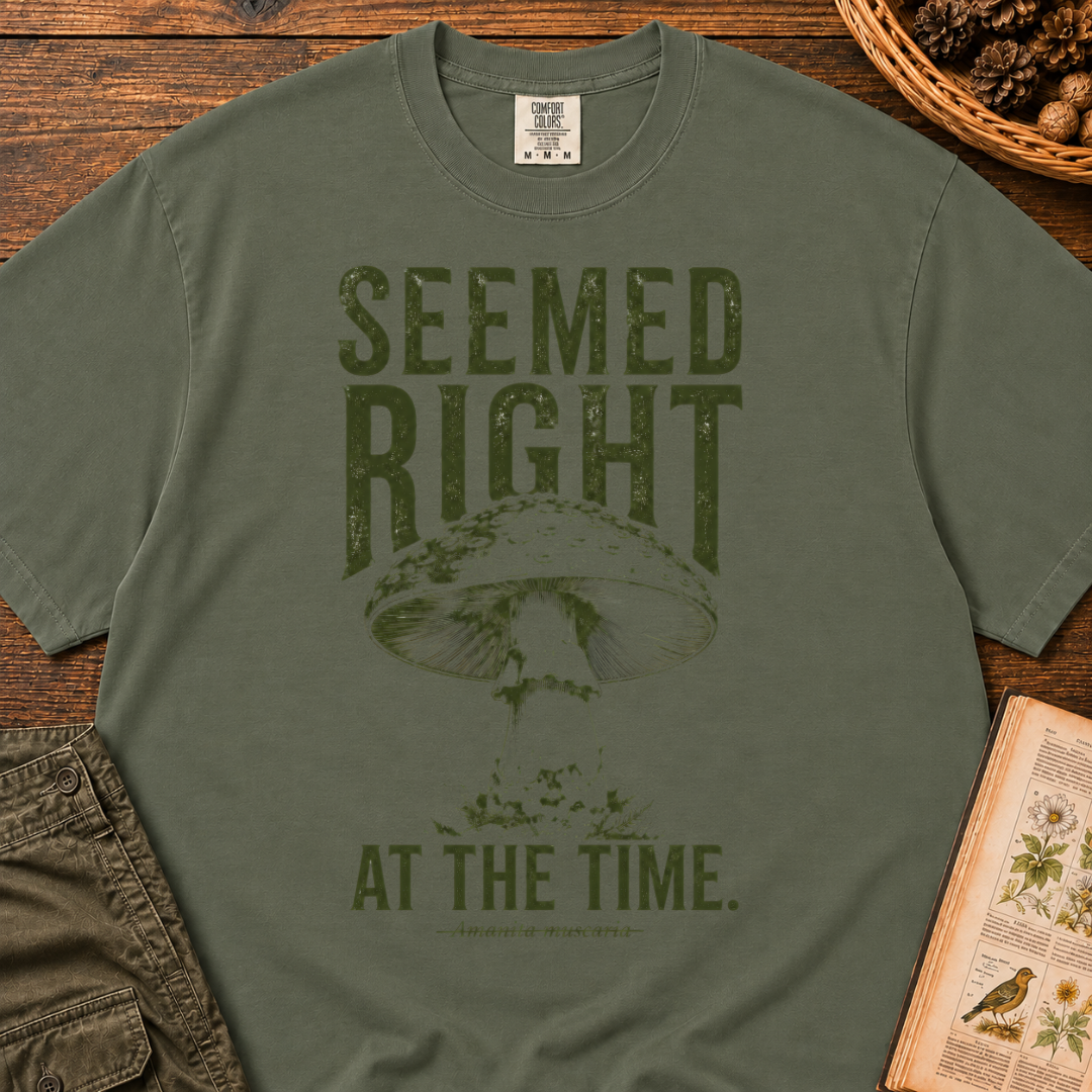 Seemed Right T‑Shirt
