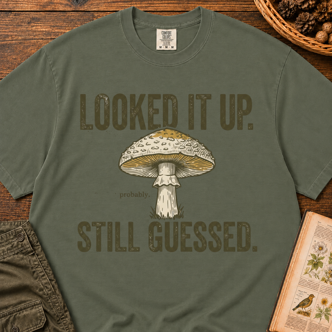 Looked It Up T‑Shirt