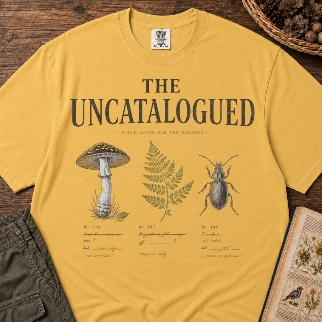 Uncatalogued T‑Shirt