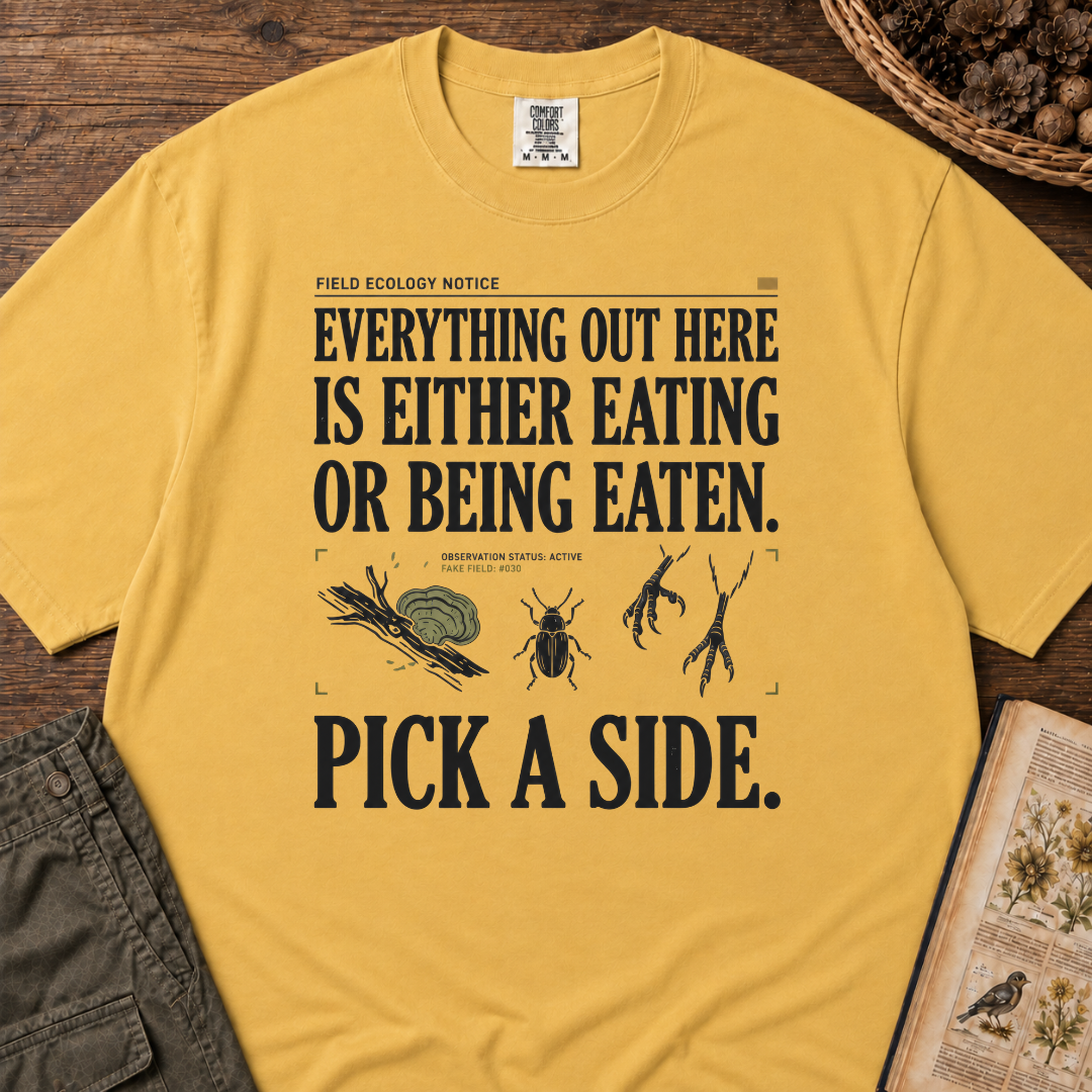 Pick A Side T‑Shirt