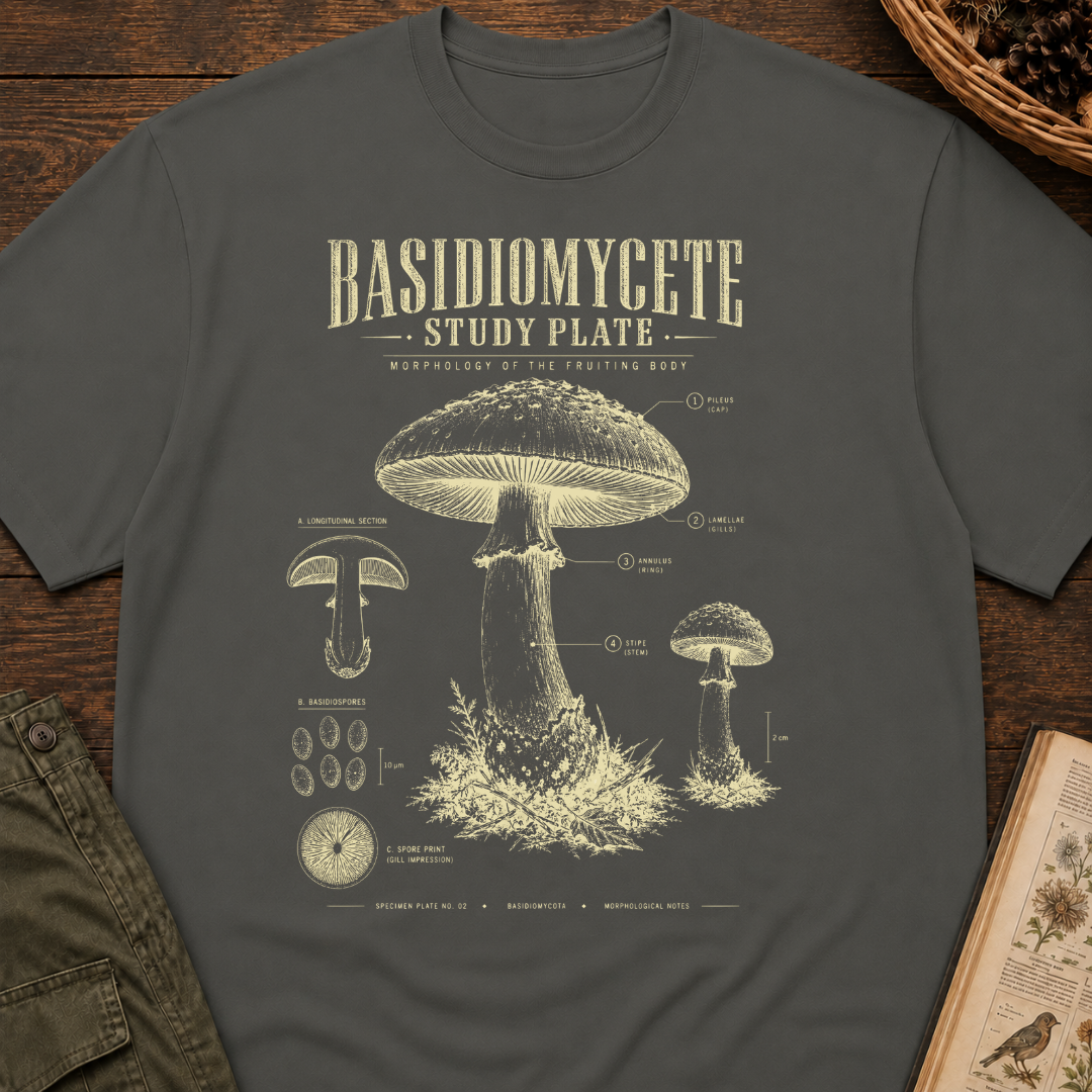 Basidiomycete Study Plate T‑Shirt