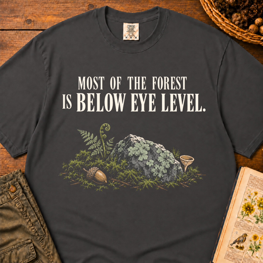 Below Eye Level T‑Shirt