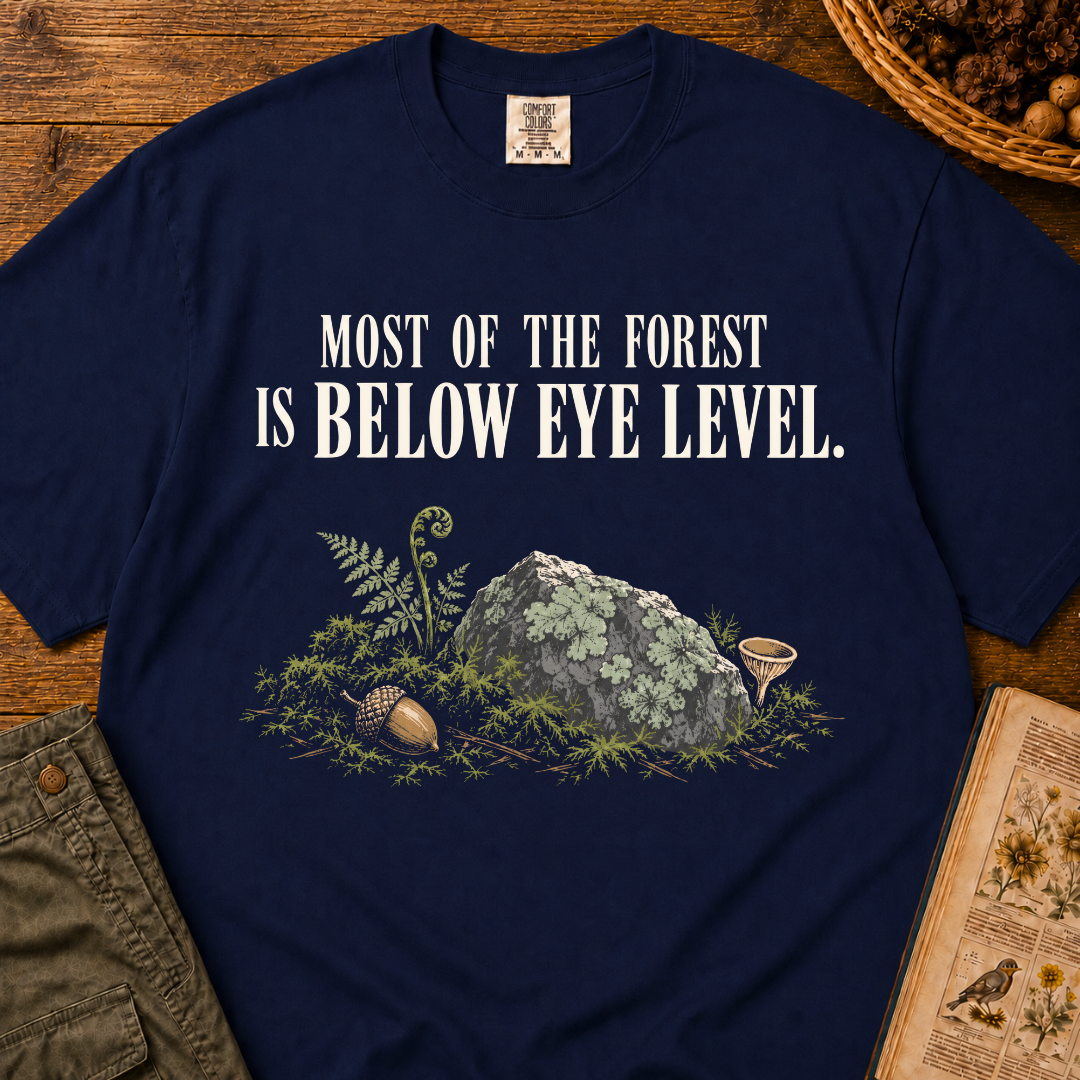 Below Eye Level T‑Shirt