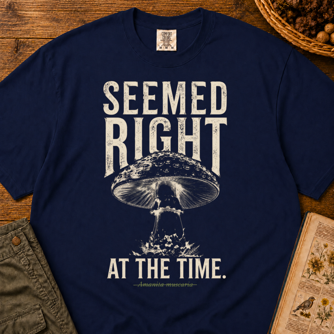 Seemed Right T‑Shirt