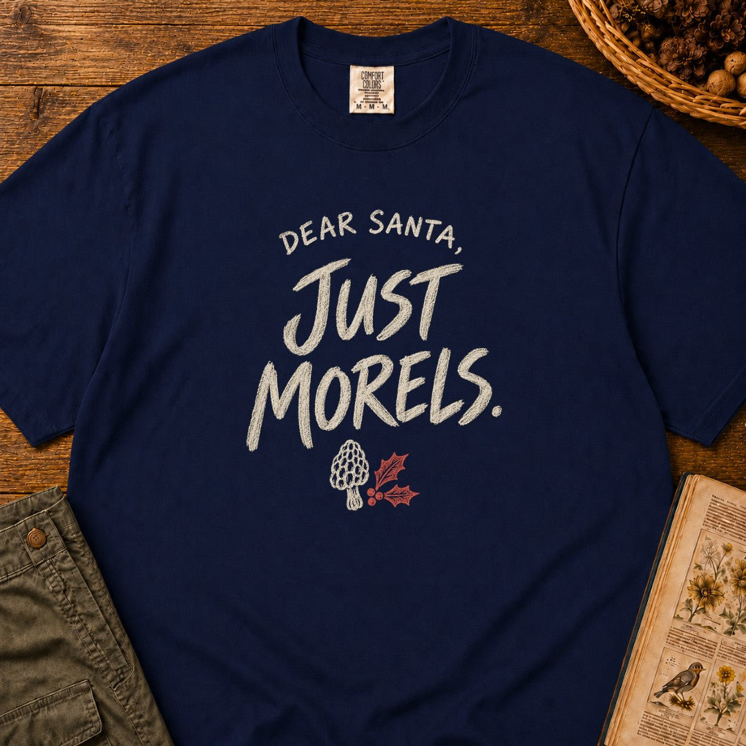 True Navy