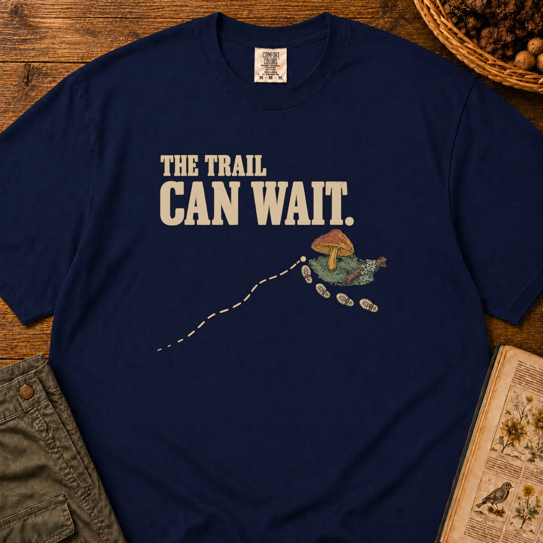 True Navy